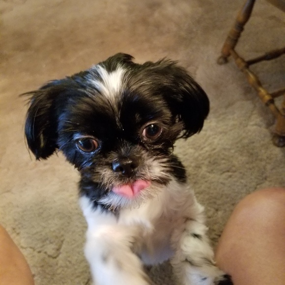 💝Tammy Barker💝 - Picture 2 of 15